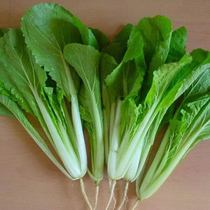 Small Cabbage Seeds All Season Sowing Heat Resistant Cold And Chill White Helped Green Stalk Small Vegetable Garden Potted Open-air Greenhouse Vegetable Seed