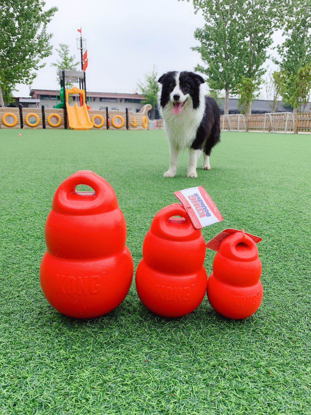 KONG dog pet toy rubber bouncing gourd toy large, medium and small dog bite-resistant interactive dog toy ball