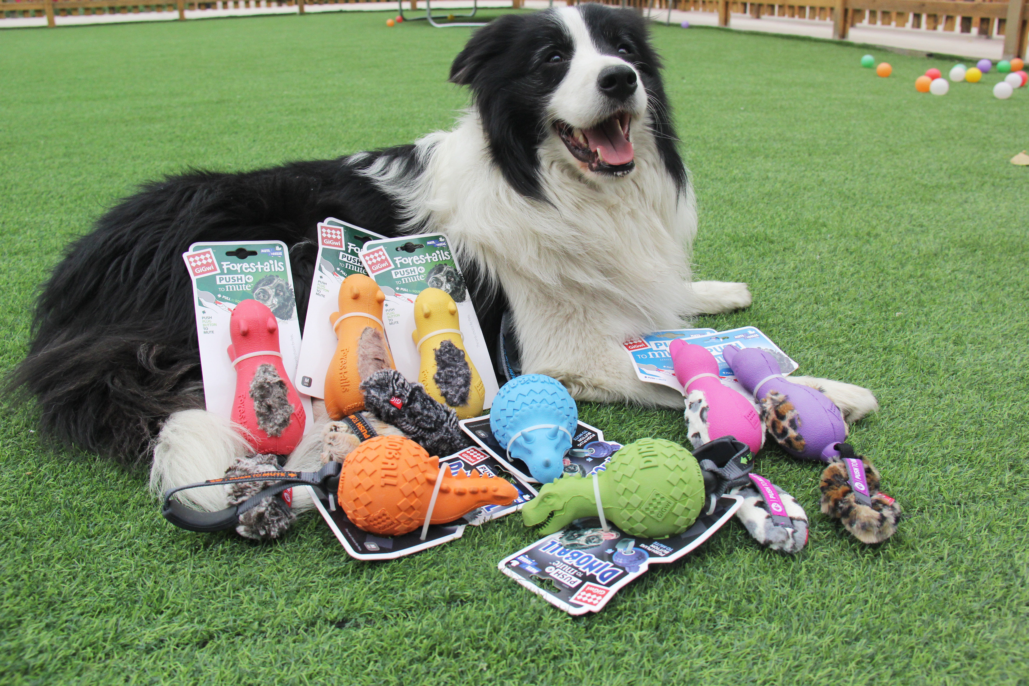 Sela Pet Expensive for GIGWI Pet Toy Tour Rubber Vocal interactive pull rope resistant to biting side Shepherd Mao-Taobao