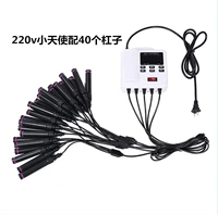 220V Little Angel 25 головы с 40 барами