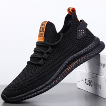 Summer mens shoes breathable thin net face shoes men casual deodorant 100 hitch soft bottom mesh sports shoes Mens wave shoes