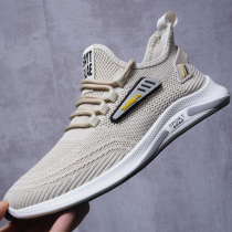 Mens shoes 2022 new summer breathable flying loom net face Shoe men casual thin soft bottom sneakers submale wave shoes