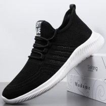 Mens shoes Summer breathable deodorant thin net face sneakers men casual soft-bottom light running shoes mens wave shoes