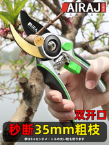 German import Areeze gardening Pruning Scissors Fruit Tree Branches Garden Flowers Branches Floral Arts Scissors Prunes