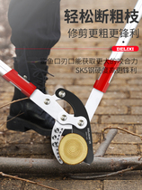 German imported Delixi pruning branches scissors fruit shears strong scissors garden rough shears strong shear flower branches