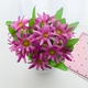 Фиолетовый бассейн Lucky Chrysanthemum Purple