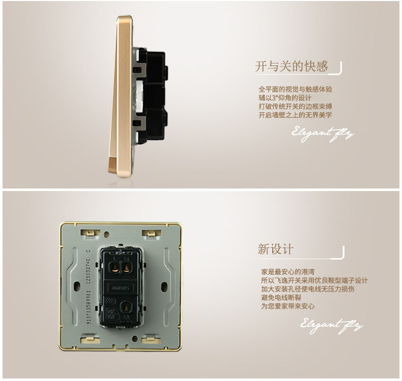 Philips Switch-Feiyi Text-Golden-One Open Double Control_03.jpg