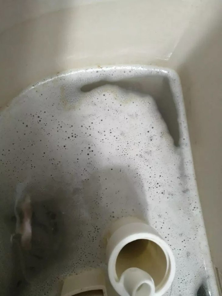 Bán khối duy nhất Đức Nhà vệ sinh Domol nhà vệ sinh viên sủi bọt Chất tẩy rửa khử nhiễm mạnh Khối khử trùng - Trang chủ viên tẩy lồng giặt