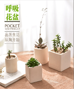 Cung cấp hoa mọng nước cung cấp xẻng hoa bọ cạp ba mảnh mọng nước công cụ kết hợp bộ công cụ - Nguồn cung cấp vườn vòi xịt tăng áp tưới cây