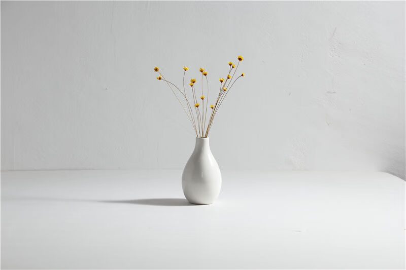 Wus gốm Zen gốm hoa trang trí phòng khách hoa hoa phụ kiện nhà chai nhỏ màu trắng Trung Quốc - Vase / Bồn hoa & Kệ bình thủy tinh cắm hoa