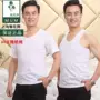 Thương hiệu 42 sợi vest bông cotton trắng vest nam áo sơ mi ngắn tay áo thun ba lỗ nữ