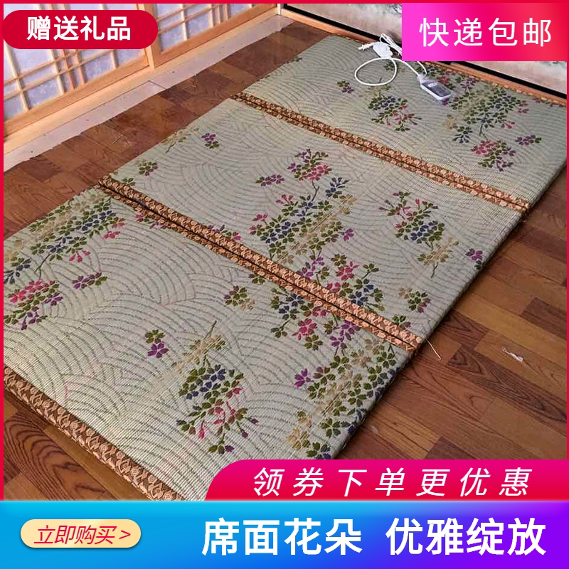 Tatami heated coconut palm cushion Home Electric heating remote control ground mat Custom cushions to set foot in the floor