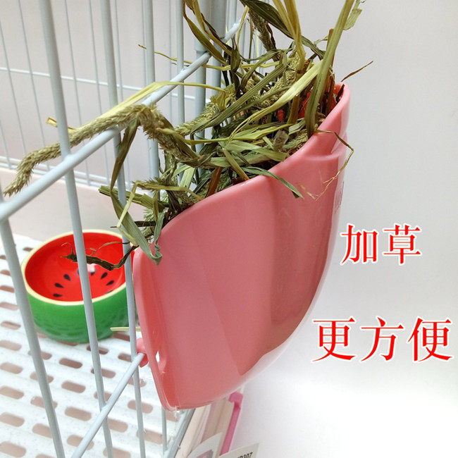 Jolly simple external straw rabbit dragon geranium eat grass grass small pet easy weeding