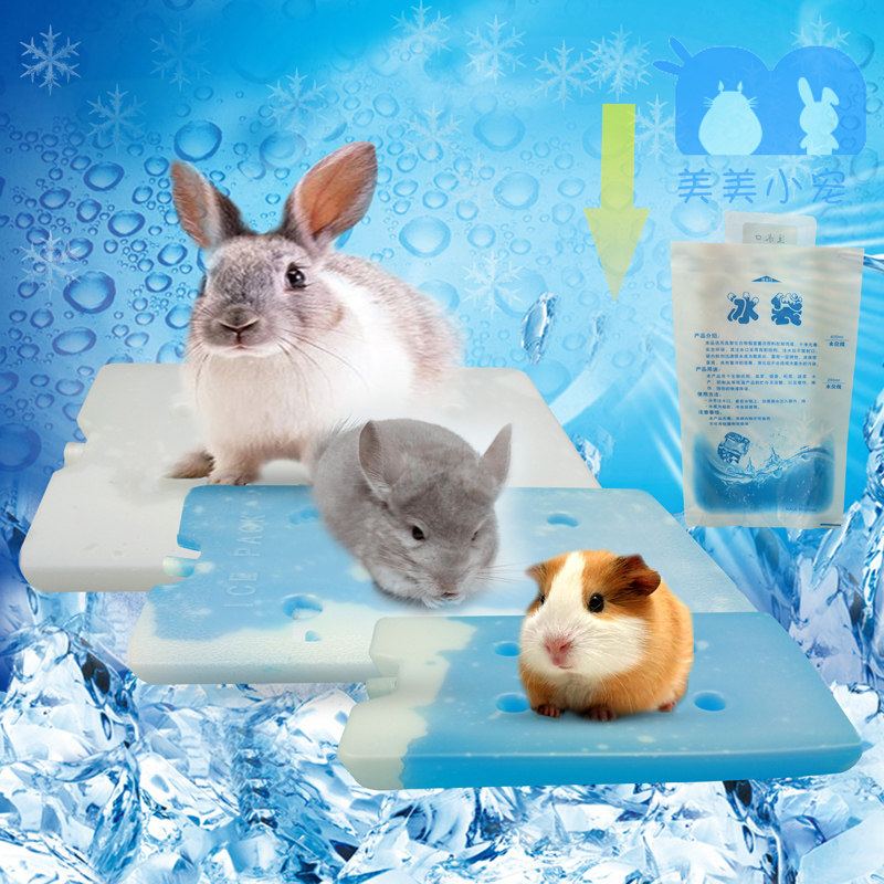 Pet summer cooling ice box rabbit chinchilla guinea pig hamster cooling supplies white ice blue ice cooling tool
