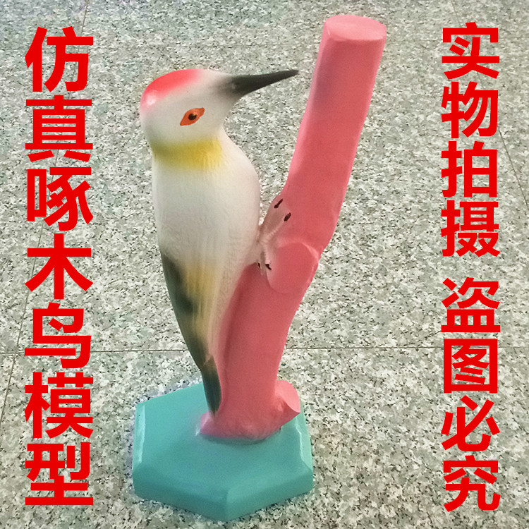 啄木鸟仿真模型 生物实验器材小学科学标本 教学仪器