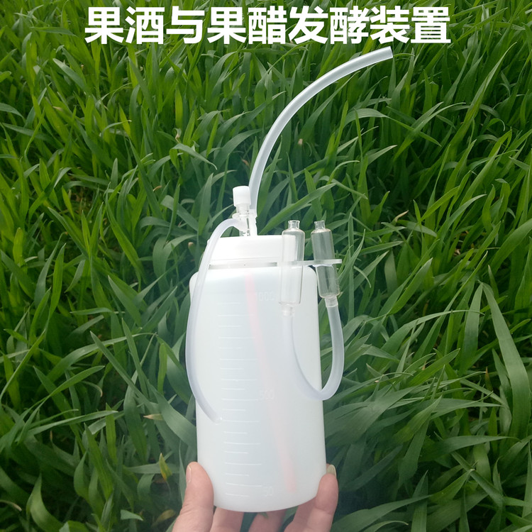 J27033果酒与果醋发酵装置 教学仪器