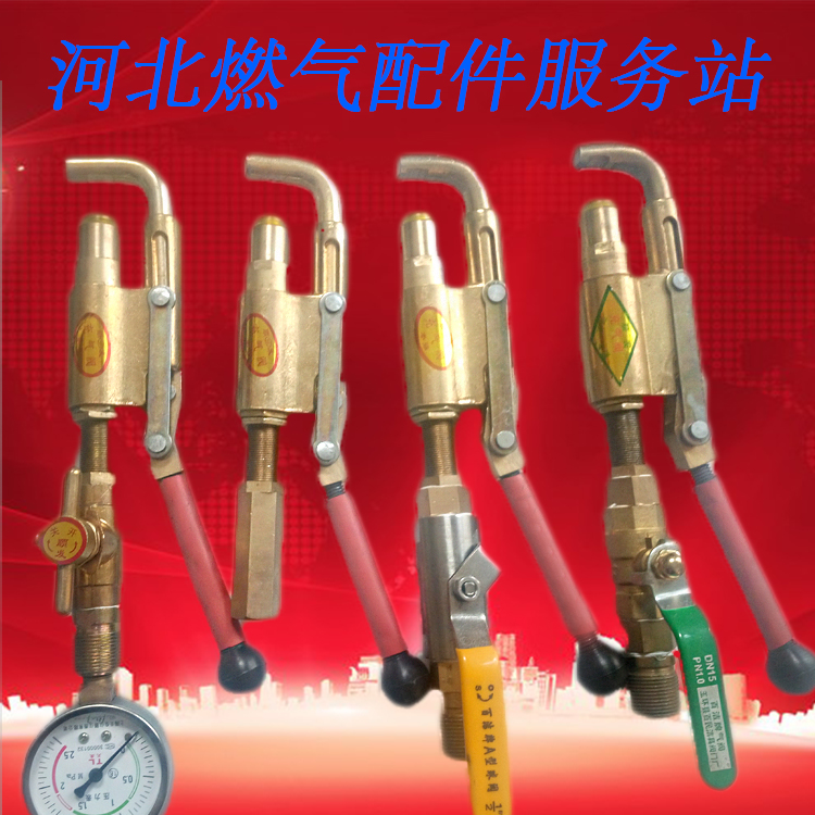 Liquefied gas inflatable gun Liquefied gas cylinder pressure test gun Gas tank leak test gun Pressure gauge plugging valve Suction residual liquid gun