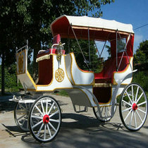 Les charrettes de luxe Luxury occasionnel Eurostyle chariot de tourisme de style européen Loisirs de mariage Loisirs Eurostyle