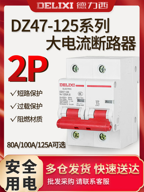 Delixi 2P High Current High Power Circuit Breaker Dz47-125 80A/100A/125A Air Switch