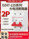 Delixi 2P High Current High Power Circuit Breaker Dz47-125 80A/100A/125A Air Switch