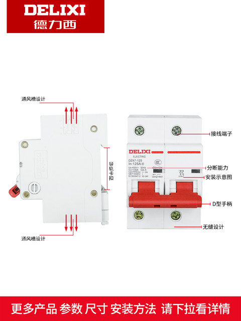 Delixi 2P High Current High Power Circuit Breaker Dz47-125 80A/100A/125A Air Switch