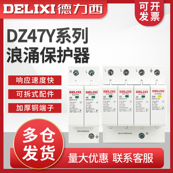 Delixi 2P 40Ka Surge Protection Device for Home Use, Lightning Protection Protector Dz47Y Lightning Protection Module 220V Surge