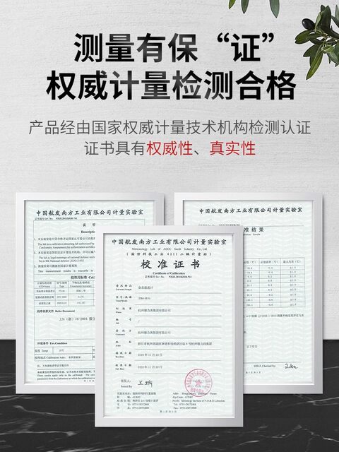 Delixi Oil Thermometer Kitchen Thermometer Baking Barbecue Liquid Food Thermometer High-Precision Commercial Oil Temperature Meter