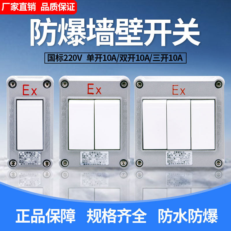 EX防爆开关220V 10A单开双联三明装工业防爆墙壁开关防爆照明开关