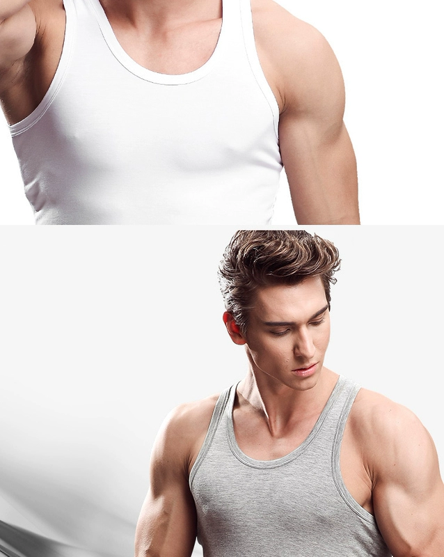 3 mảnh cotton gia đình nam vest nam cotton mùa hè đồ lót trẻ trung tập thể dục Slim loại áo lót trắng