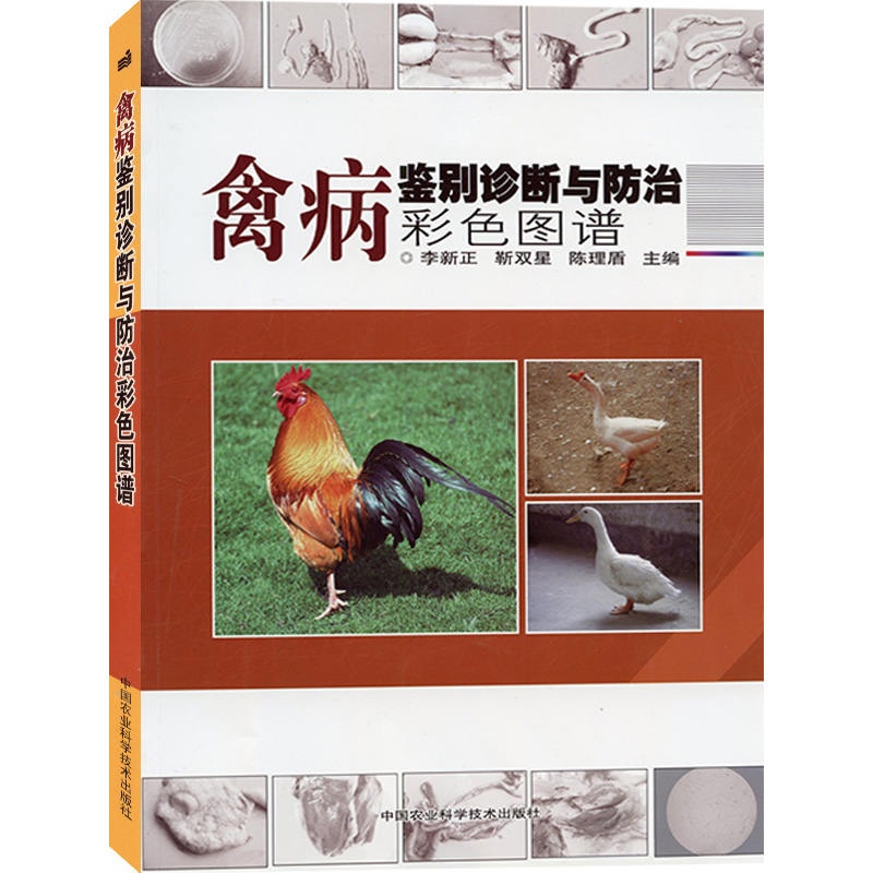 Bird Disease Identification Diagnosis and Control of Color Atlas Li Xinzheng editor-in-chief of poultry disease diagnosis and control of poultry disease