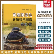 Technical atlas of Huangyuan closed-shell turtle breeding Zhang Jingchun Zhang Juntao edited turtle breeding