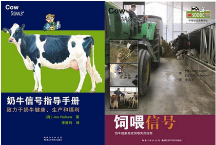A cow's signal guidance manual for feeding, a set of two cows healthy cows to produce dairy cows welfare cows feeding the cows