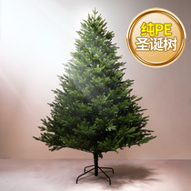 Lao Zhangren pure PE Christmas tree North American fir model indoor household environmental protection commonly used height Christmas decoration bare tree