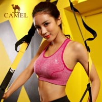 Áo khoác thể thao lạc đà chống sốc tập hợp thoải mái chạy bộ đồ lót tập thể dục đồ lót nhanh khô yoga - Đồ lót thể thao áo pitch