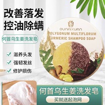 German formula Aunay Polygonum multiflorum ginger shampoo soap dandruff control oil deep roots to promote hair growth and moisturization