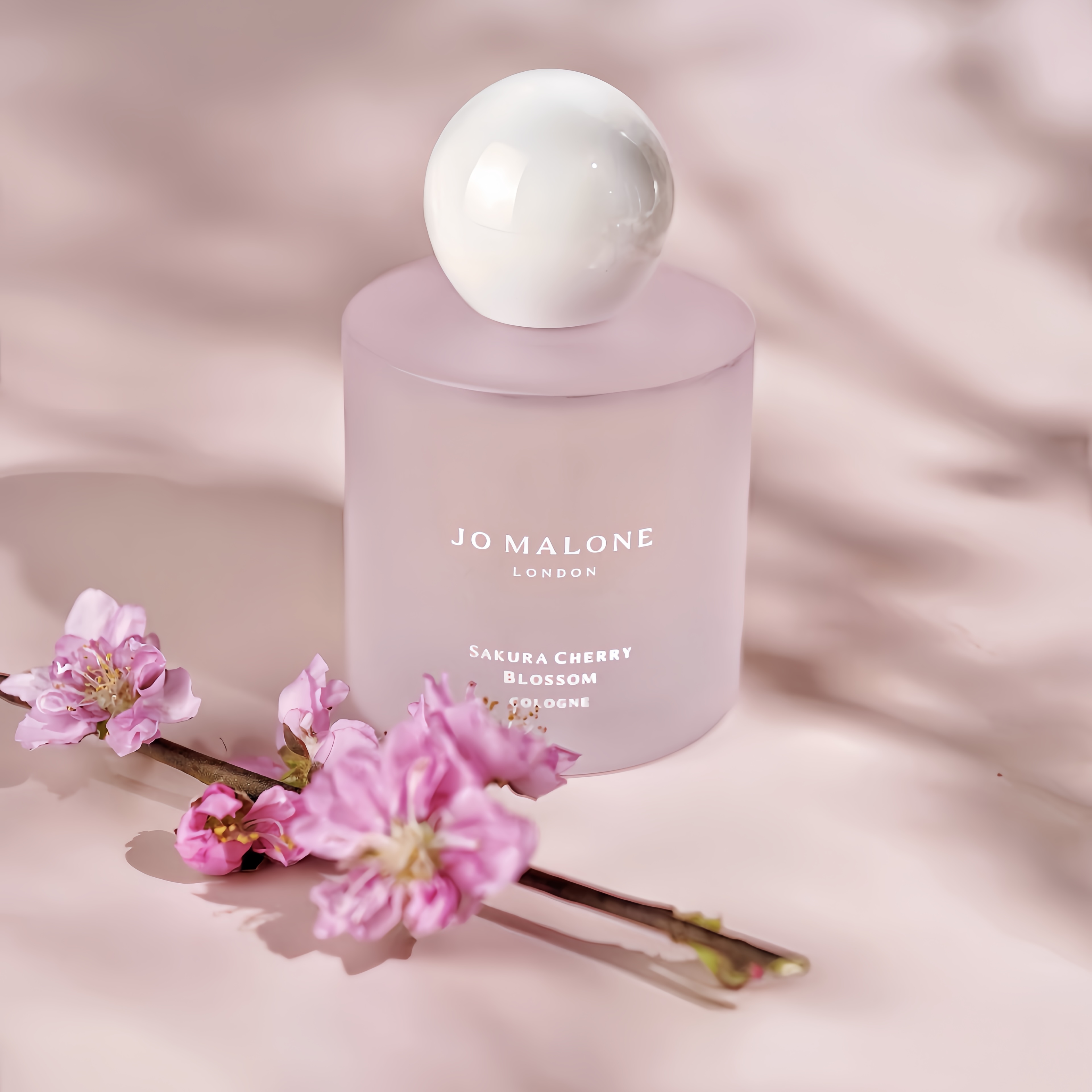 Jo Malone祖玛珑祖马龙Sakura cherry春日限定樱花EDC香水100ml