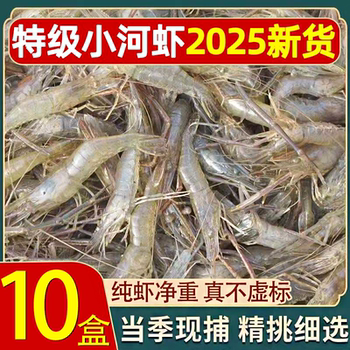 Small river shrimp, fresh, quick-frozen, fresh river shrimp, small white shrimp, green shrimp, frozen prawn, seafood, aquatic products, freshly caught small river shrimp
