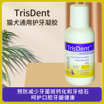 TrisDent cat and dog gum swelling plaque reduction dental calculus pet oral anti-inflammatory deodorizing tooth cleaning gel