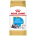 ROYAL CANIN / Royal Pet Dog Food Mini Schnauzer Puppy Food SNJ30 / 1.5KG Puppy Staple Food - Chó Staples