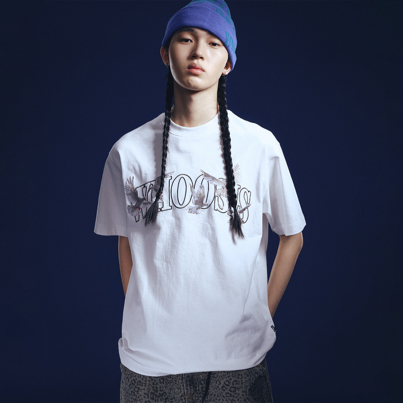 Whoosis (Unknown Name) White Dove Embroidered Short-Sleeve T-Shirt Summer Top Loose American Style Trendy Campus Unisex