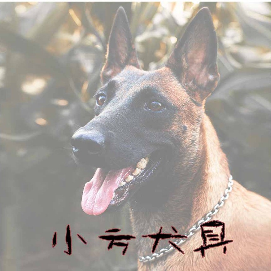 小方犬具