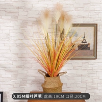 0,85 млн. Чистые тростники листьев+