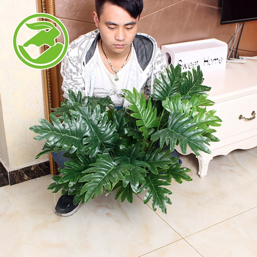 Пластиковые искусственные растения, реалистичный парик для гостиной, на удачу