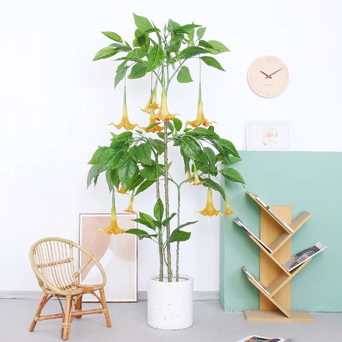 Моделирование мандалы зеленые растения в помещении крупные посадки декоративные украшения