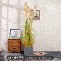 1,8 млн. Чистые листовые тростники+квадратный цементный бассейн