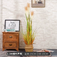 1,3 млн. Чистые тростники+