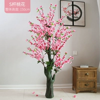 150 -см полюс