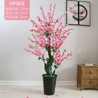 150 см. Полюсовый пирожный цветет плюс трава горшок