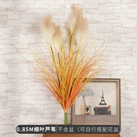 0,85 млн. Чистые листовые тростники