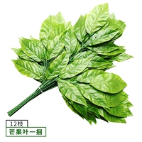 Зеленый манго листья (в комплекте)